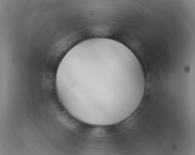 X0000113290162200909211112