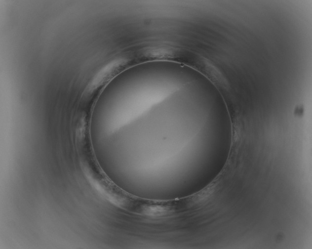 X0000113290163200909211112