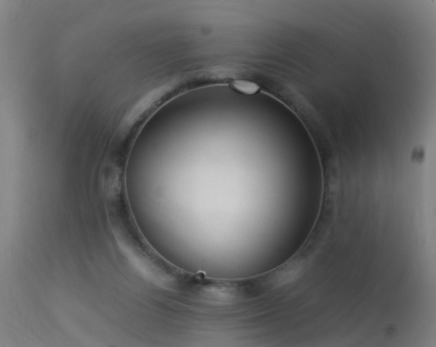 X0000113290164200909211112