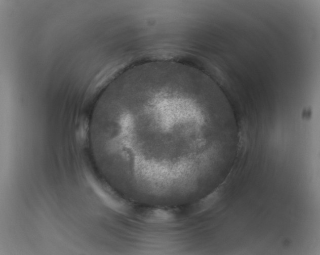 X0000113290166200909211112