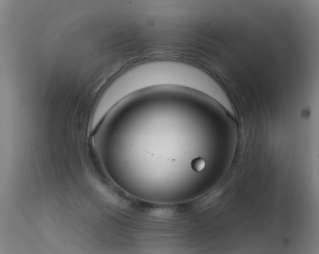 X0000113290168200909211112