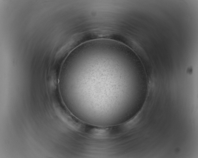 X0000113290170200909211112