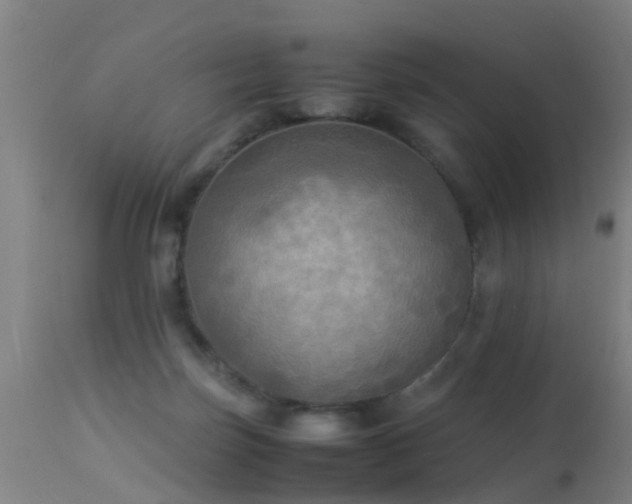 X0000113290171200909211112