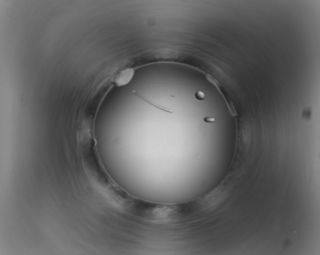 X0000113290172200909211112