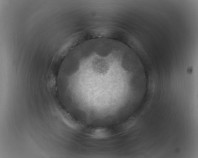 X0000113290173200909211112