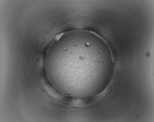 X0000113290174200909211112