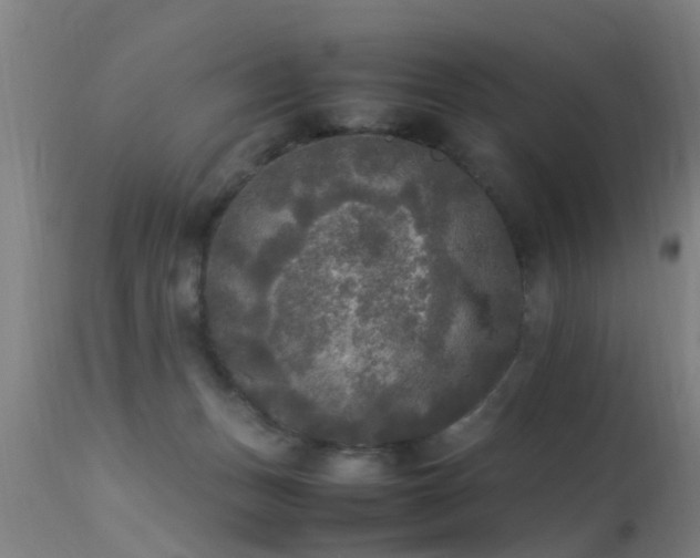 X0000113290175200909211112