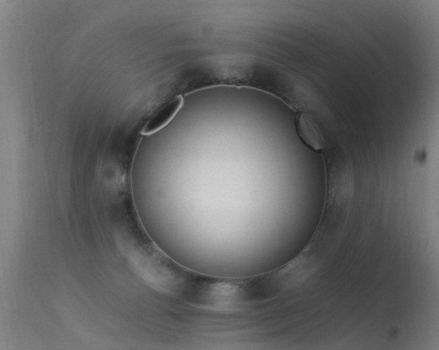 X0000113290176200909211112