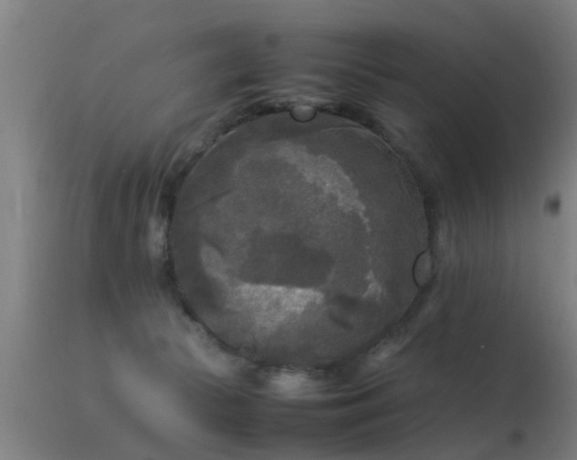 X0000113290177200909211112