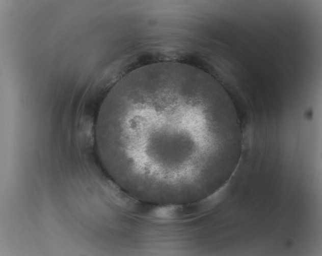 X0000113290178200909211112