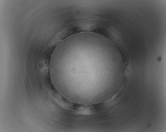 X0000113290179200909211112