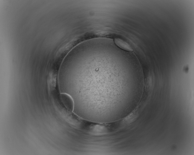 X0000113290180200909211112