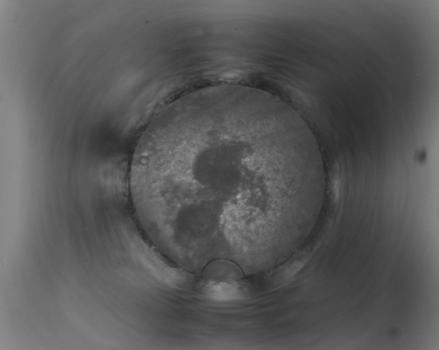 X0000113290181200909211112