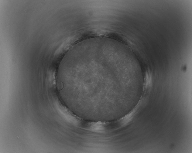 X0000113290182200909211112