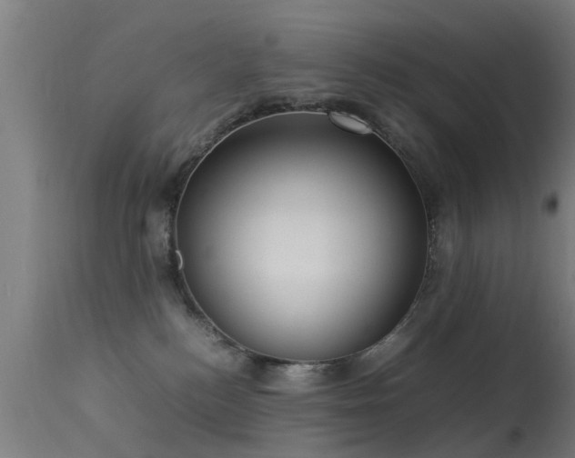 X0000113290184200909211112