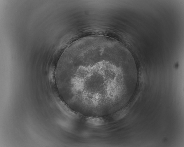 X0000113290185200909211112