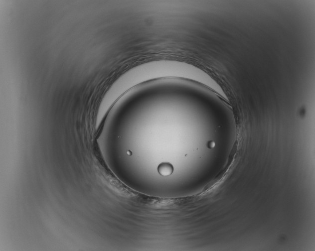 X0000113290186200909211112