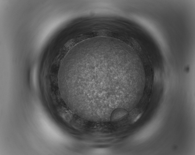 X0000113290189200909211112