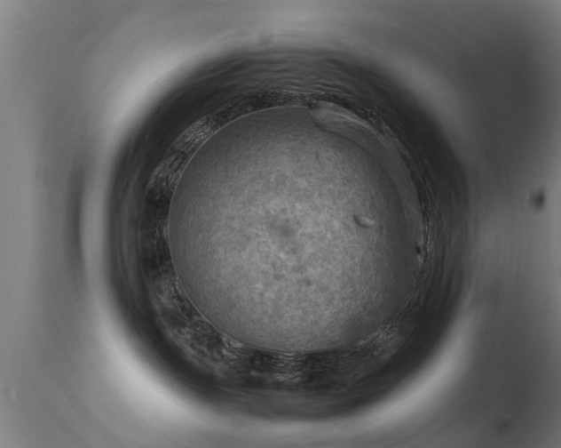 X0000113290191200909211112