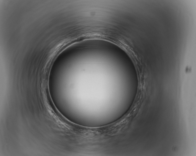 X0000113290193200909211111