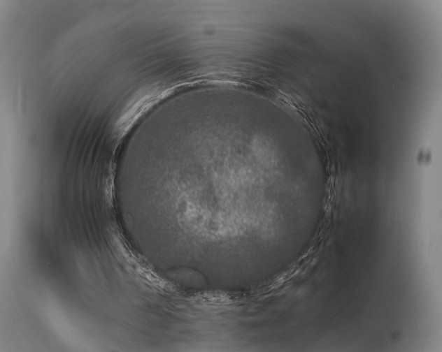 X0000113290194200909211111