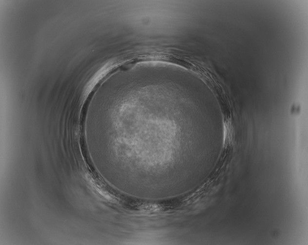 X0000113290195200909211111