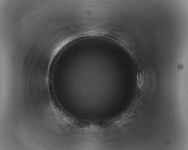 X0000113290196200909211111