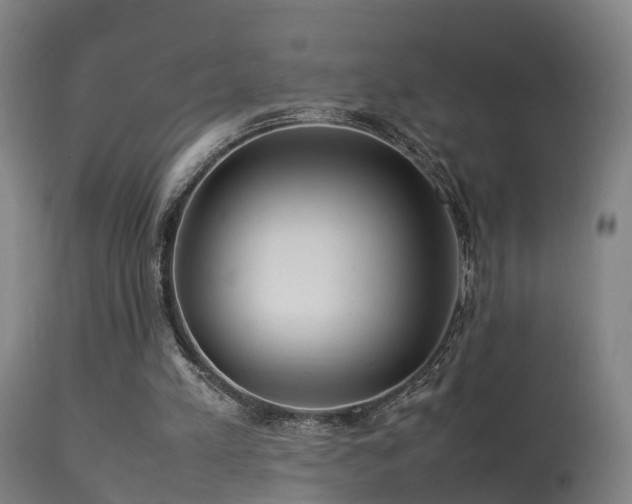 X0000113290197200909211111