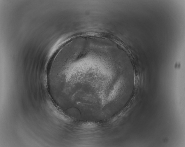 X0000113290198200909211111