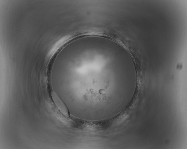 X0000113290199200909211111