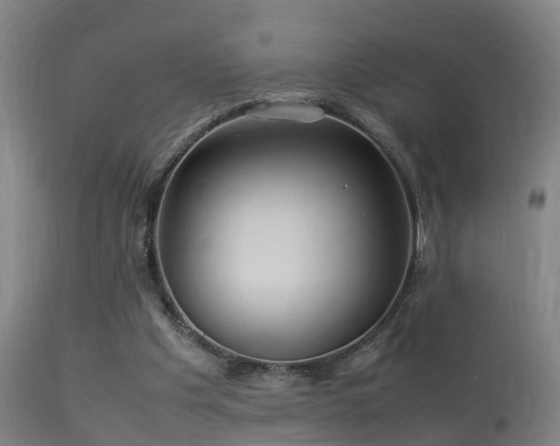 X0000113290201200909211111