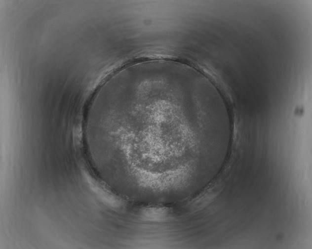 X0000113290202200909211111