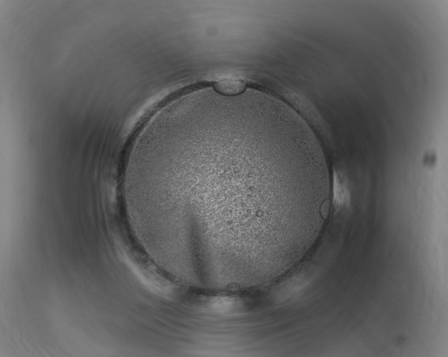 X0000113290204200909211111