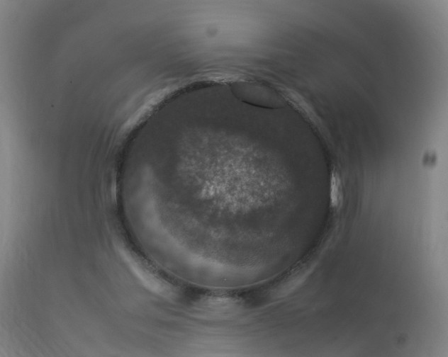 X0000113290205200909211111