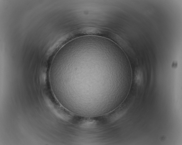 X0000113290206200909211111