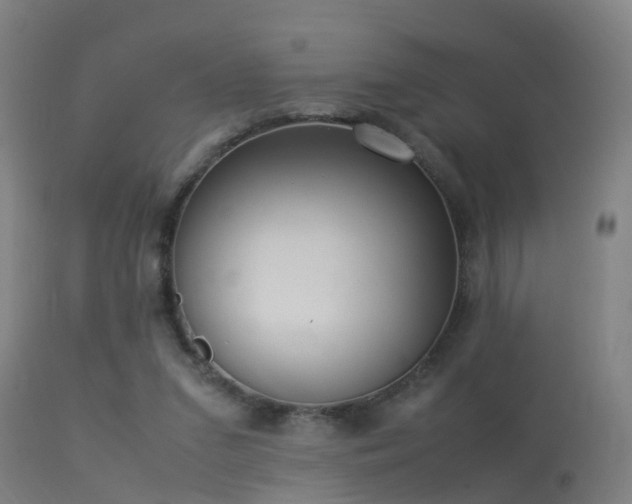 X0000113290207200909211111