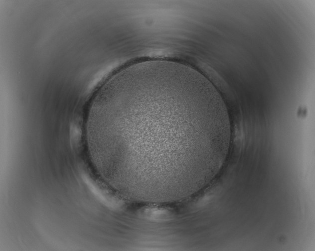 X0000113290208200909211111