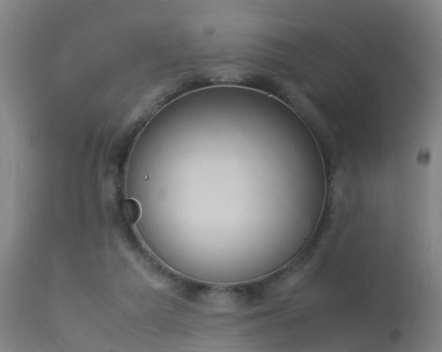 X0000113290209200909211111