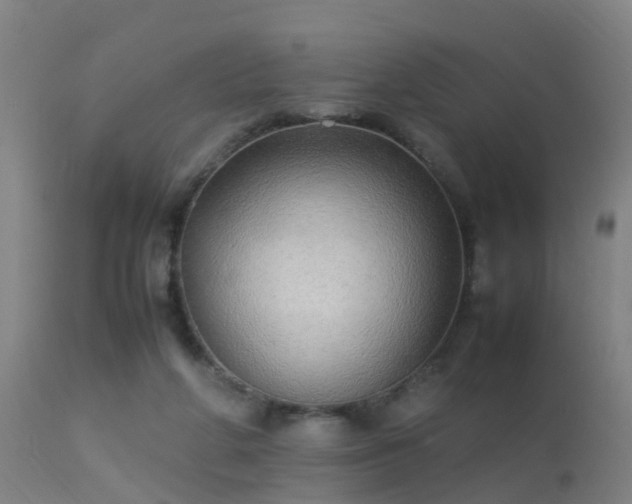 X0000113290210200909211111