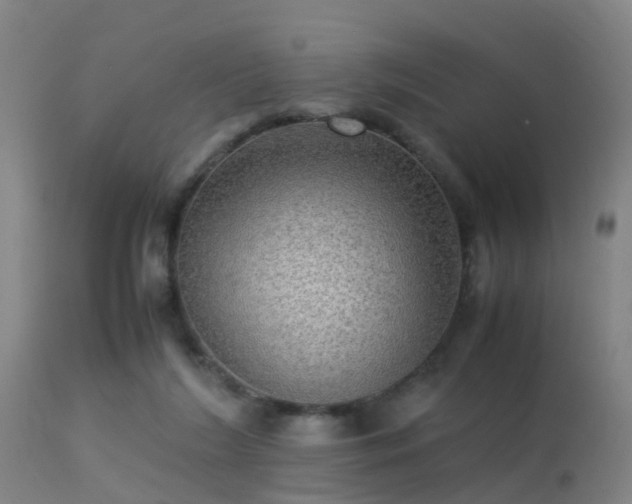 X0000113290212200909211111