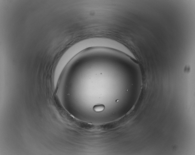 X0000113290213200909211111