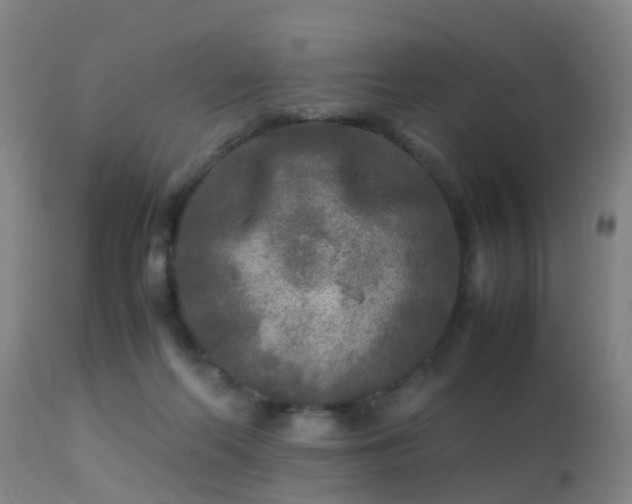 X0000113290214200909211111