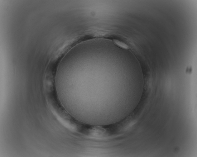 X0000113290215200909211111