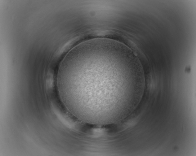 X0000113290216200909211111