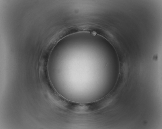 X0000113290217200909211111