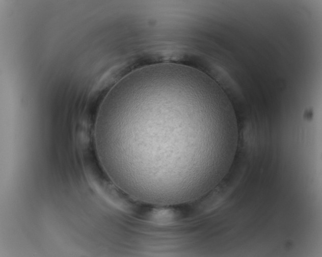 X0000113290218200909211111