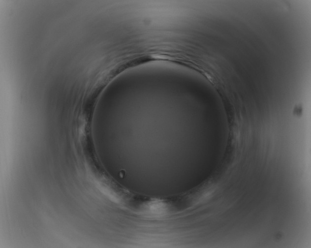 X0000113290219200909211111