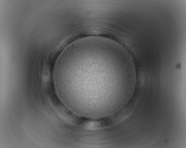 X0000113290220200909211111