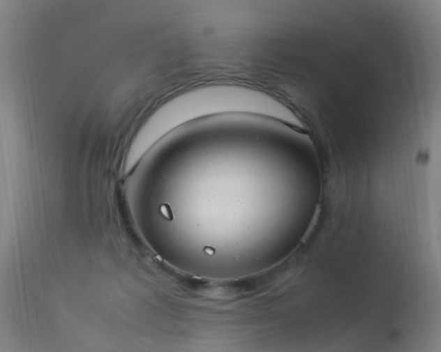 X0000113290221200909211111