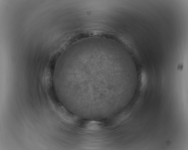 X0000113290222200909211111